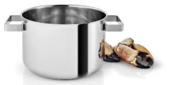 Eva Solo Kookpan Nordic Kitchen RVS - ø 20 Cm / 4 Liter 4 Eva Solo Kookpan Nordic Kitchen RVS - ø 20 Cm / 4 Liter -Goedkope Keuken Benodigdheden 281240 Nordic Kitchen Pot 4l 20cm regi HIGH