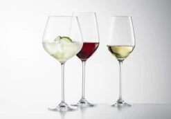 Schott Zwiesel Wijnglazen Fortissimo - Set 18 Delig - Witte En Rode Wijnglazen & Gin Tonic Glazen -Goedkope Keuken Benodigdheden 4001836085601 schott zwiesel fortissimo 1