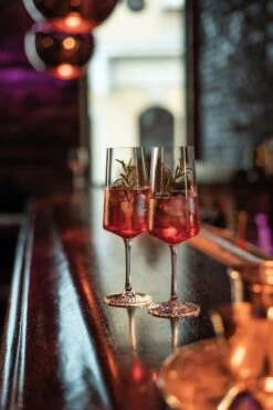 Zwiesel Glas Champagneglazen Echo - 395 Ml - 4 Stuks -Goedkope Keuken Benodigdheden 4001836117838 3