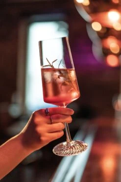 Zwiesel Glas Champagneglazen Echo - 395 Ml - 4 Stuks -Goedkope Keuken Benodigdheden 4001836117838 4