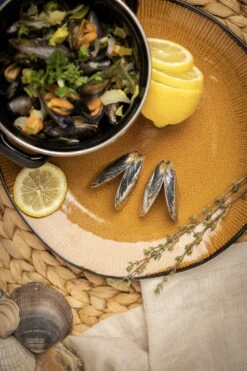 Anovi Mosselbestek 2-delig -Goedkope Keuken Benodigdheden 5 Mosselen Anovi 5