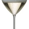 Riedel Champagneglas Superleggero -Goedkope Keuken Benodigdheden 642500028 thumbnail nsnnUjiz