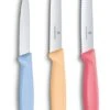 Victorinox Schilmessenset Pastel - 3-Delig -Goedkope Keuken Benodigdheden 7613329141885 1