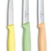 Victorinox Schilmessenset Trend - 3-Delig -Goedkope Keuken Benodigdheden 7613329141892