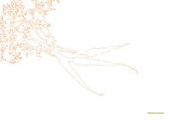 Kookboek - Plenty More 5 Kookboek - Plenty More -Goedkope Keuken Benodigdheden 9789059565388 03