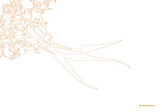 Kookboek - Plenty More Kookboek - Plenty More -Goedkope Keuken Benodigdheden 9789059565388 03