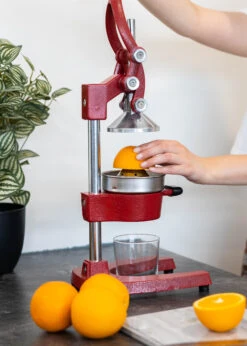 Sareva Citruspers - Gietijzer - Hevelmodel - Rood 4 Sareva Citruspers - Gietijzer - Hevelmodel - Rood -Goedkope Keuken Benodigdheden Citruspers 5 1