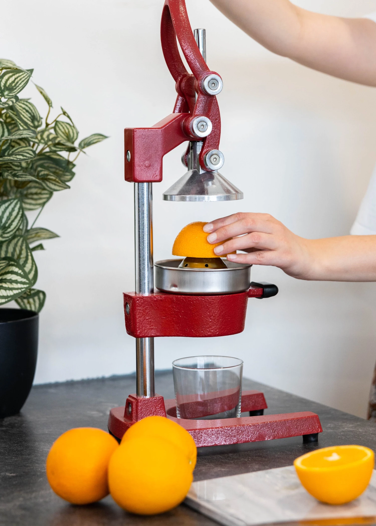 Sareva Citruspers - Gietijzer - Hevelmodel - Rood Sareva Citruspers - Gietijzer - Hevelmodel - Rood -Goedkope Keuken Benodigdheden Citruspers 5 1 scaled