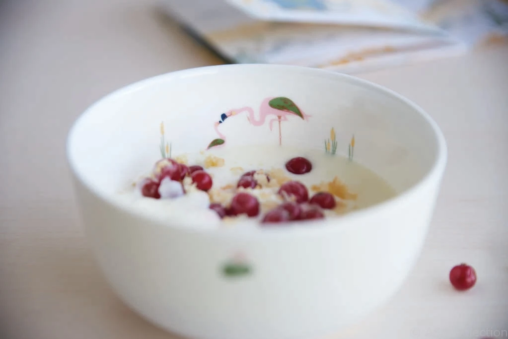 ASA Selection Kinderservies Kids Fiona Flamingo 5-delig ASA Selection Kinderservies Kids Fiona Flamingo 5-delig -Goedkope Keuken Benodigdheden Kindergeschirr kids schale flamingo