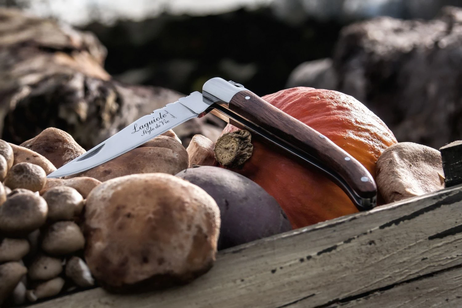 Laguiole Style de Vie Zakmes Rozenhout Laguiole Style De Vie Zakmes Rozenhout -Goedkope Keuken Benodigdheden Laguiole zakmes rozenhout sf gr 10