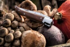 Laguiole Style De Vie Zakmes Rozenhout 7 Laguiole Style De Vie Zakmes Rozenhout -Goedkope Keuken Benodigdheden Laguiole zakmes rozenhout sf gr 9