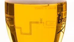 Brugse Zot Bierglas - 330 Ml 5 Brugse Zot Bierglas - 330 Ml -Goedkope Keuken Benodigdheden Merkbier gevuld 8