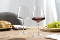 Leonardo Rode Wijnglazen Paladino - 660 Ml - 6 Stuks -Goedkope Keuken Benodigdheden Original Leonardo Paladino 066311 mood