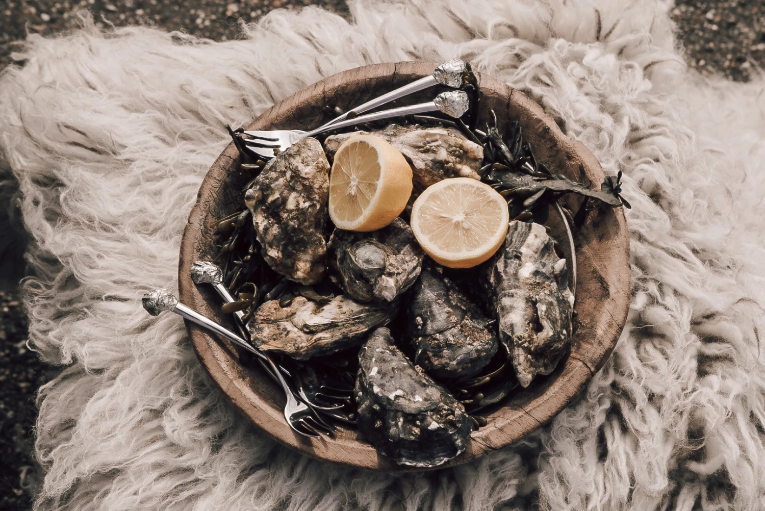 Anovi Oestervorkjes - 4 stuks Anovi Oestervorkjes - 4 Stuks -Goedkope Keuken Benodigdheden Oysterforks 2