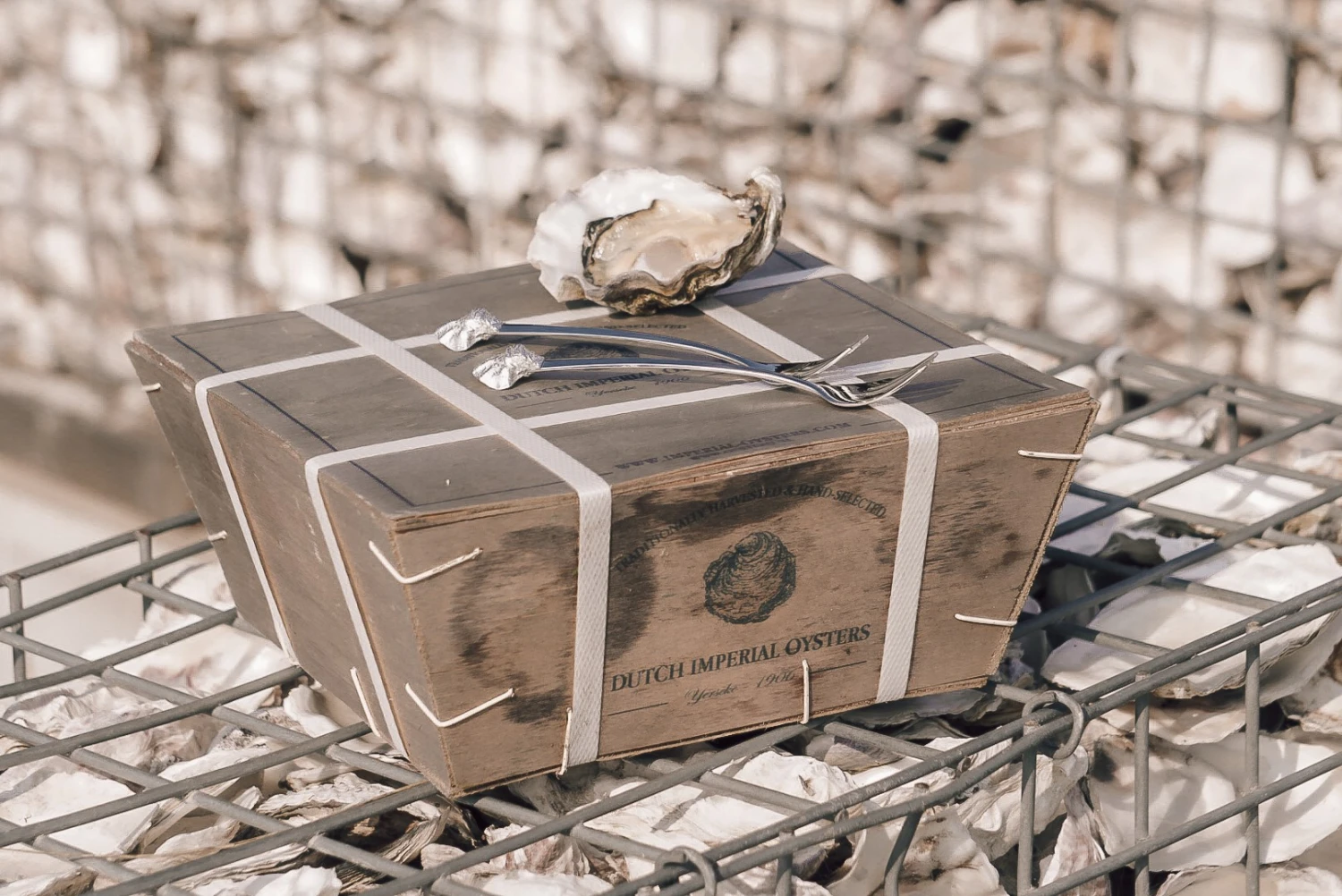 Anovi Oestervorkjes - 4 stuks Anovi Oestervorkjes - 4 Stuks -Goedkope Keuken Benodigdheden Oysterforks