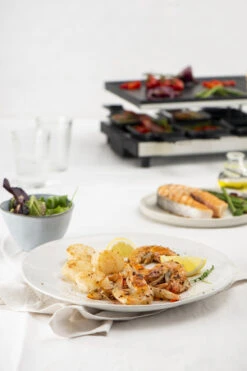 Fritel Gourmetstel RG 4180 7 Fritel Gourmetstel RG 4180 -Goedkope Keuken Benodigdheden RG 4180 Raclette Grill 142170 06