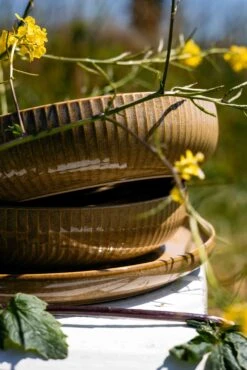 Jay Hill Diepe Borden Silhouette ø 21 Cm - 4 Stuks -Goedkope Keuken Benodigdheden Resize Silhoutte Geel 5 1