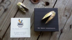 Anovi Mosselbestek 2-delig -Goedkope Keuken Benodigdheden anovi mosselbestek