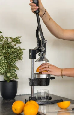 Sareva Citruspers - Gietijzer - Hevelmodel - Zwart -Goedkope Keuken Benodigdheden citruspers 3 1