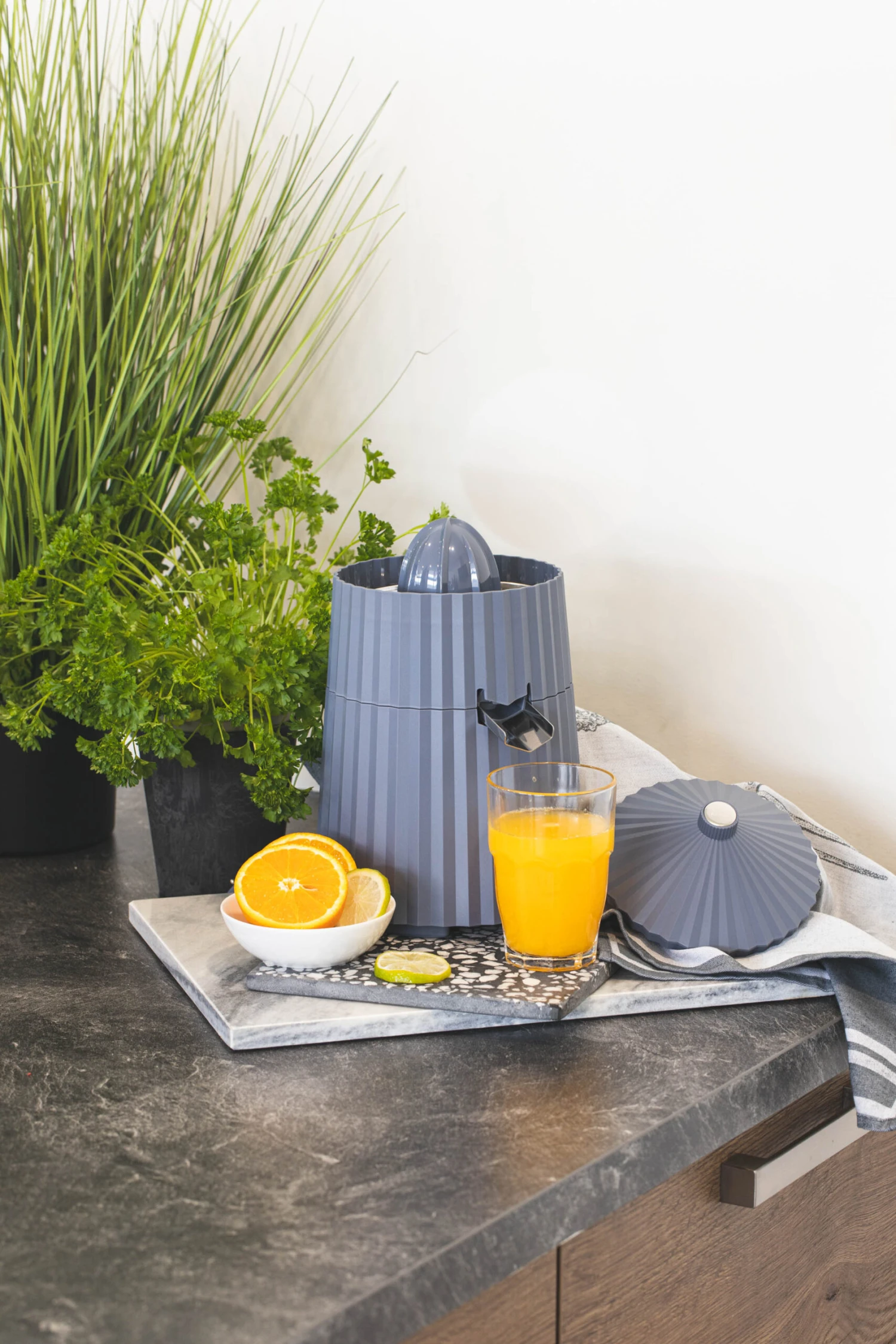 Alessi Citruspers Plissé - elektrisch - Grijs - Michele de Lucchi - MDL07 G Alessi Citruspers Plissé - Elektrisch - Grijs - Michele De Lucchi - MDL07 G -Goedkope Keuken Benodigdheden citruspers 4 scaled