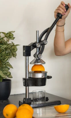 Sareva Citruspers - Gietijzer - Hevelmodel - Zwart -Goedkope Keuken Benodigdheden citruspers 4 1