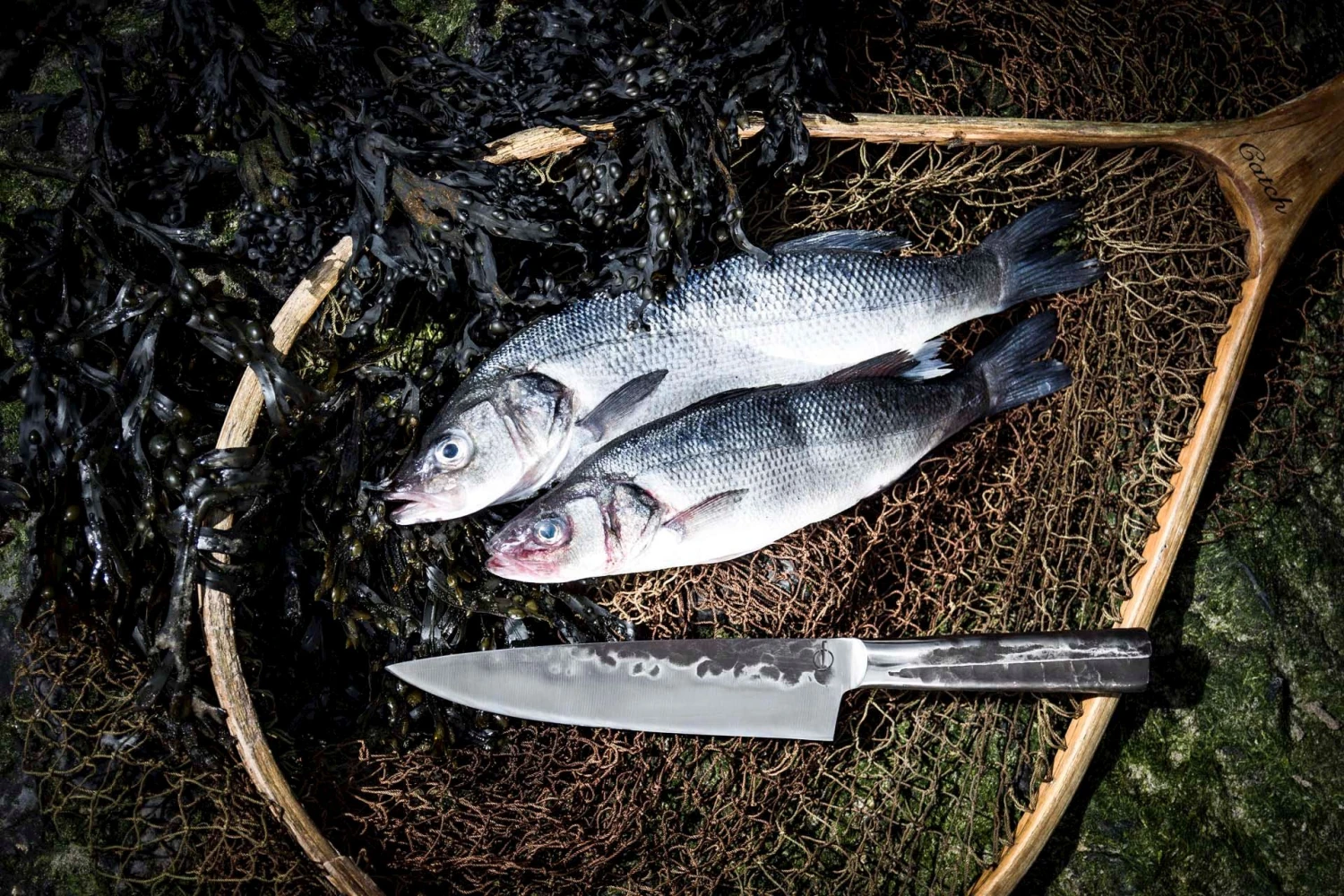 Forged Koksmes Intense 20.5 cm Forged Koksmes Intense 20.5 Cm -Goedkope Keuken Benodigdheden intkoksmes 55B15D