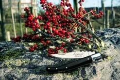 Laguiole Style De Vie Zakmes Zwart Ebbenhout -Goedkope Keuken Benodigdheden sf zakmes zwart ebbenhout 6 gr